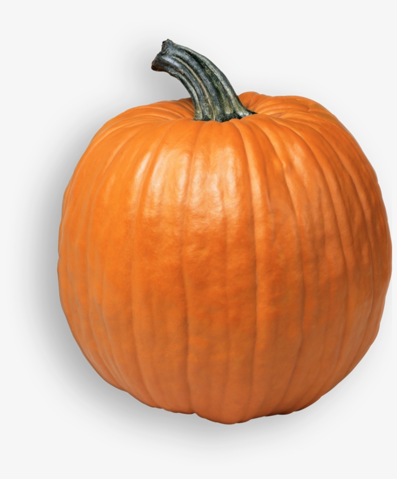 School Tours - Pumpkin Png, transparent png download
