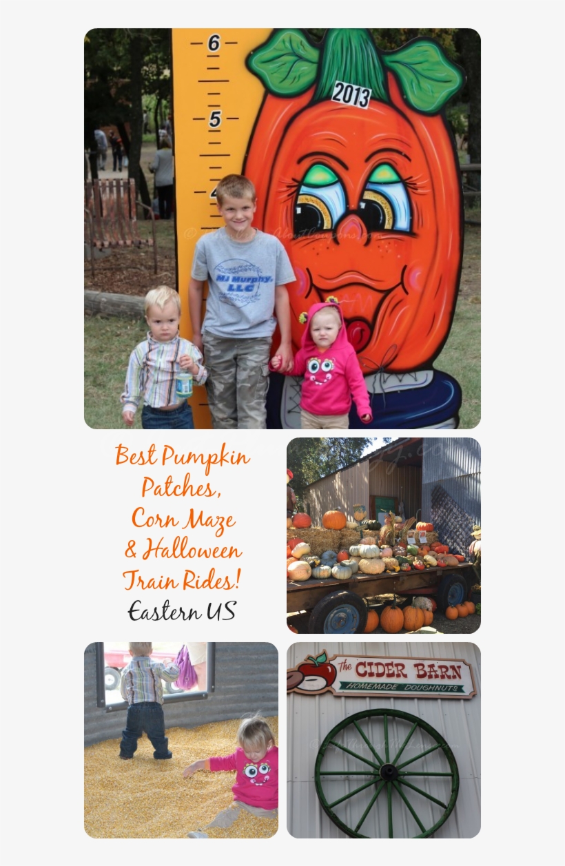 Here Is A List Of Some Of The Best Pumpkin Patches, - Toddler, transparent png download