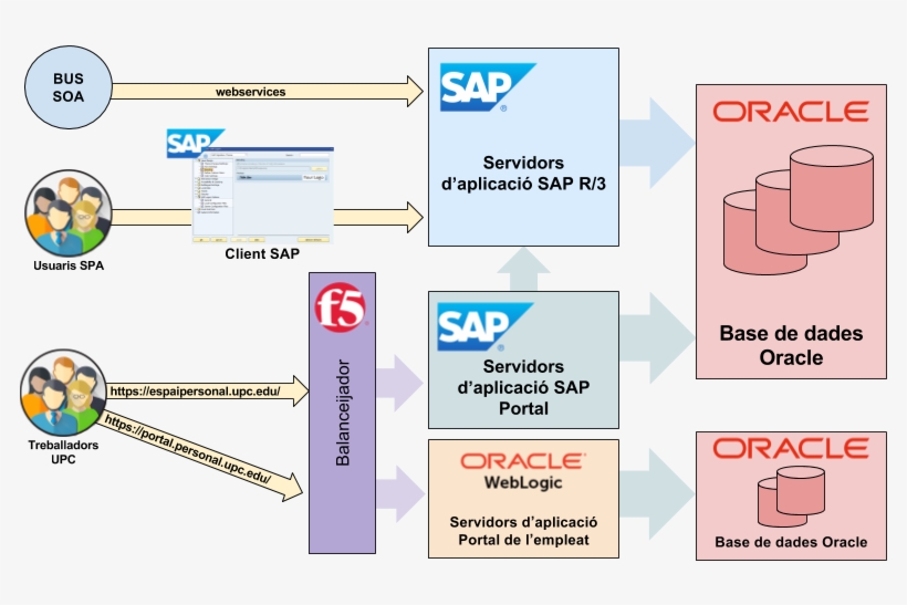 Sap, transparent png download
