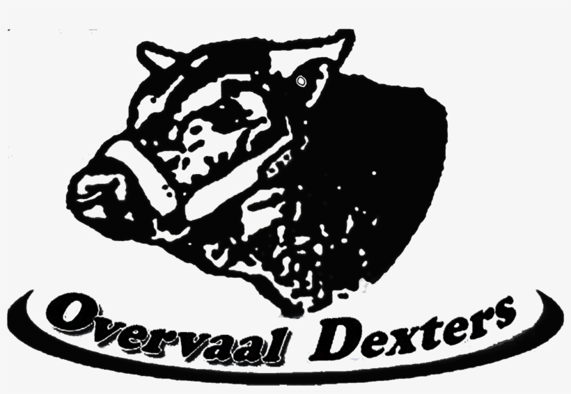 Overvaal Dexter Klub Veiling - Illustration, transparent png download