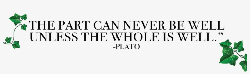 Danforth East Wellness Plato - Universal American, transparent png download