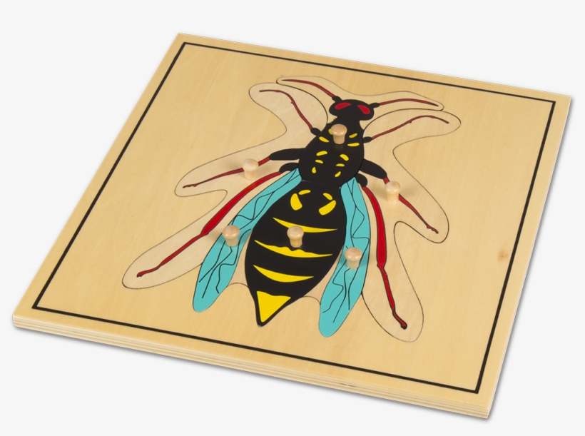 Hornet, transparent png download