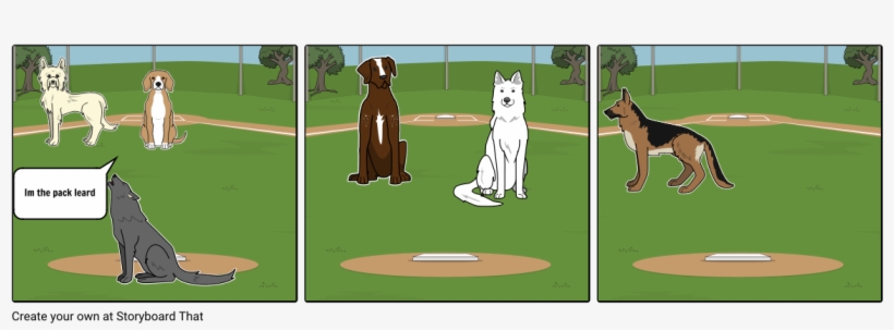 Canadian Eskimo Dog, transparent png download