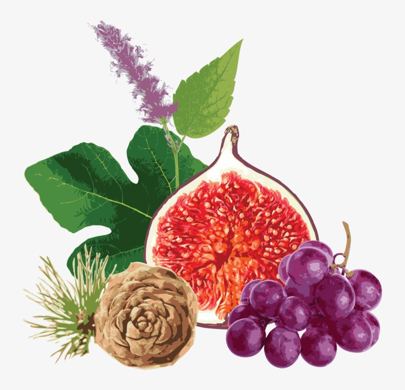 Download Now - Grape, transparent png download