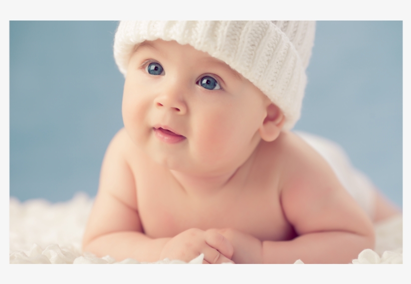 Winter Babies, transparent png download