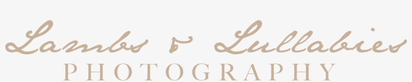 Houses Of Parliament, transparent png download