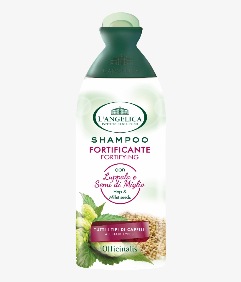 L Angelica Shampoo Review, transparent png download