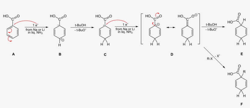 File - Birch-benzoic Mech - Svg - Diagram, transparent png download
