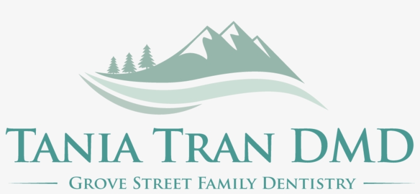 With Carecredit, The Decision's In Your Hands To Get - Family Farms Group, transparent png download
