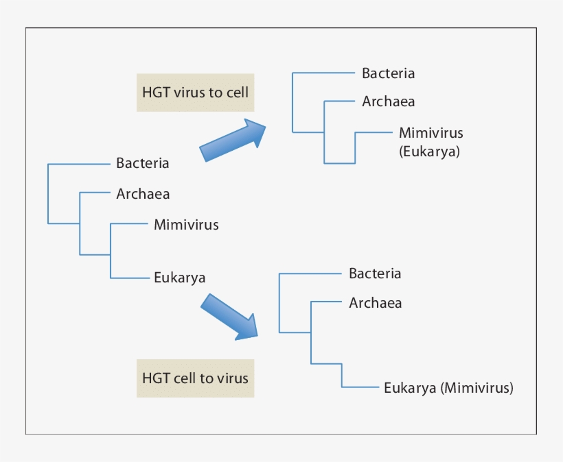 Download - Diagram, transparent png download