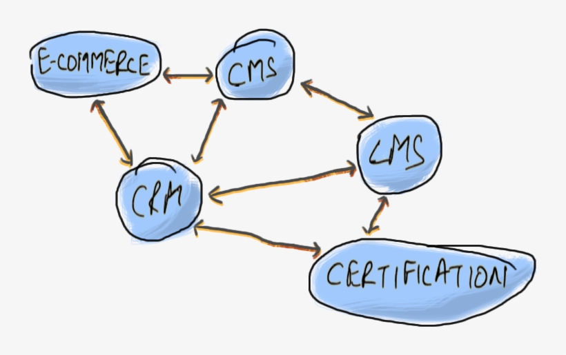 That's The Reason One Of The Most Common Issues We - Cartoon, transparent png download