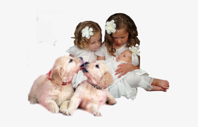 Carte Invitation Bapteme, transparent png download