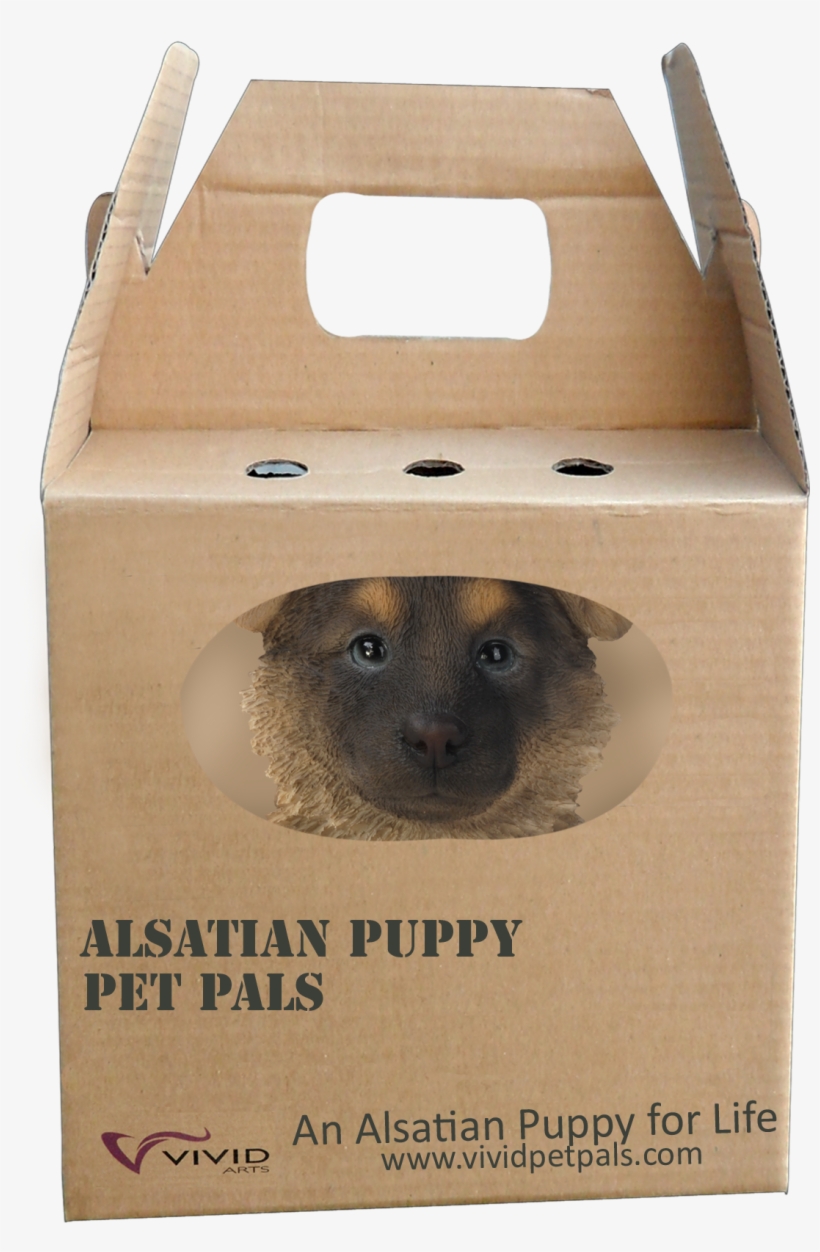 Gain A Companion Through Dog Training Tips >>> Find - Vivid Arts, transparent png download