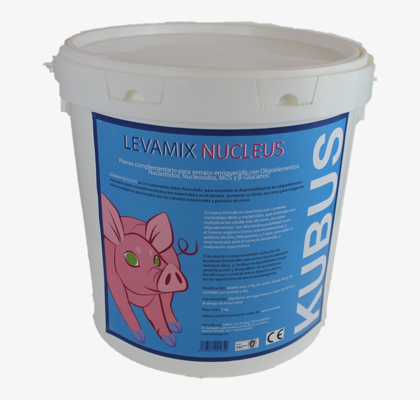 Search - Domestic Pig, transparent png download