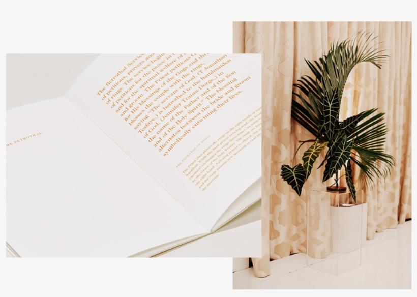 Weddings&events Carousel 04 - Attalea Speciosa, transparent png download