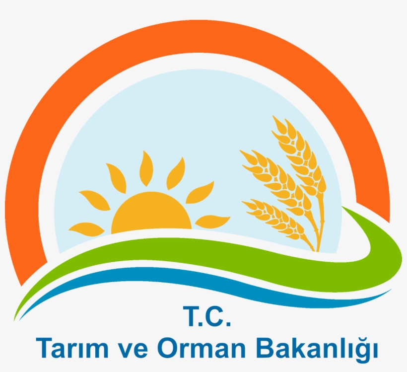 International Training Workshop On Sand And Dust Storms - Ministry Of Food, Agriculture And Livestock, transparent png download