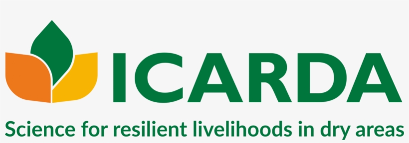 Branding Guidelines - Icarda Png, transparent png download