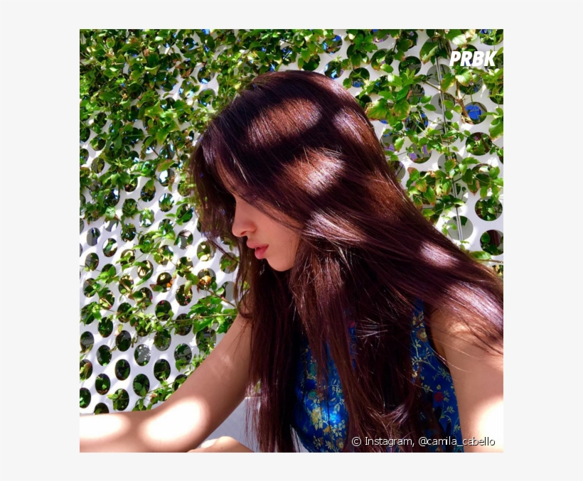 Camila Cabello, Do Fifth Harmony, Adora Postar Fotos - Camila Cabello E Seu Cabelo, transparent png download