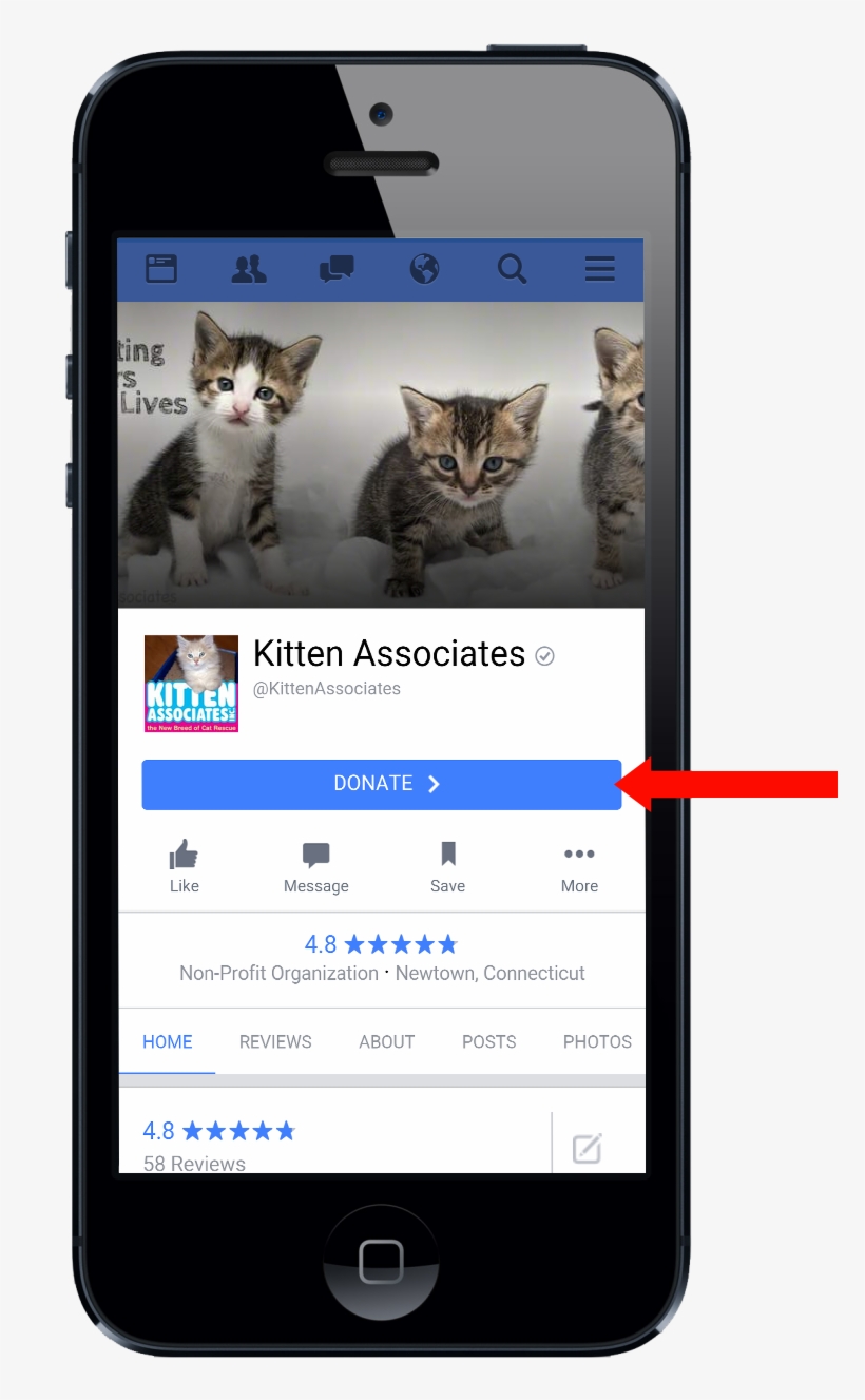 Clicking It Will Take Your Donor To A Mobile Friendly - Tinder Front Page, transparent png download