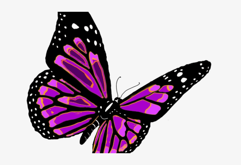 Monarch Butterfly Clipart Png Full Hd, transparent png download