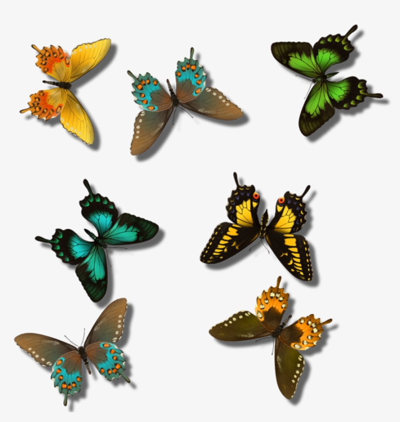 Clipart Hd Blogging - Swallowtail Butterfly, transparent png download