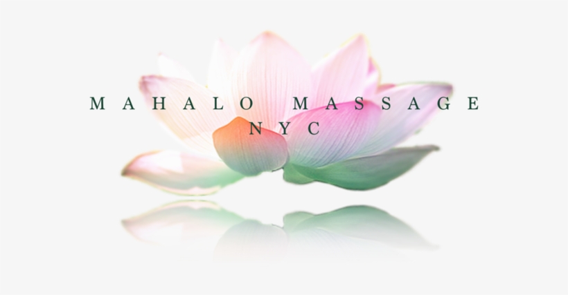 Logo Transp - Sacred Lotus, transparent png download