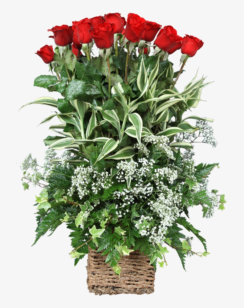 Basket Arrangement With 25 Red Roses - Garden Roses, transparent png download