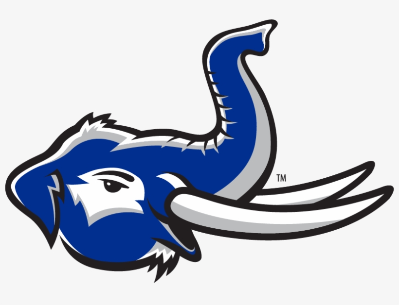 Interested In Which Of Your Don Alumni Own A Business, transparent png download