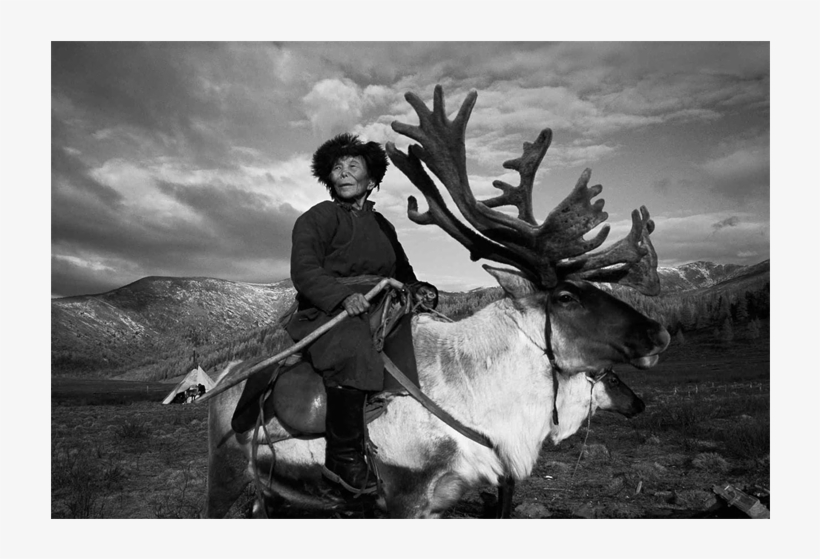 Permanent Collection - Reindeer People, transparent png download