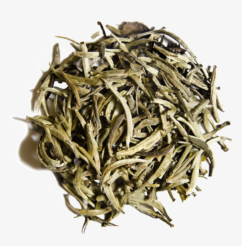 White Bud Yin Zhen - Shoumei Tea Png, transparent png download