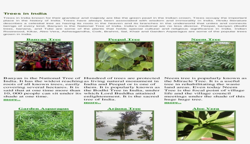 Plantation, transparent png download
