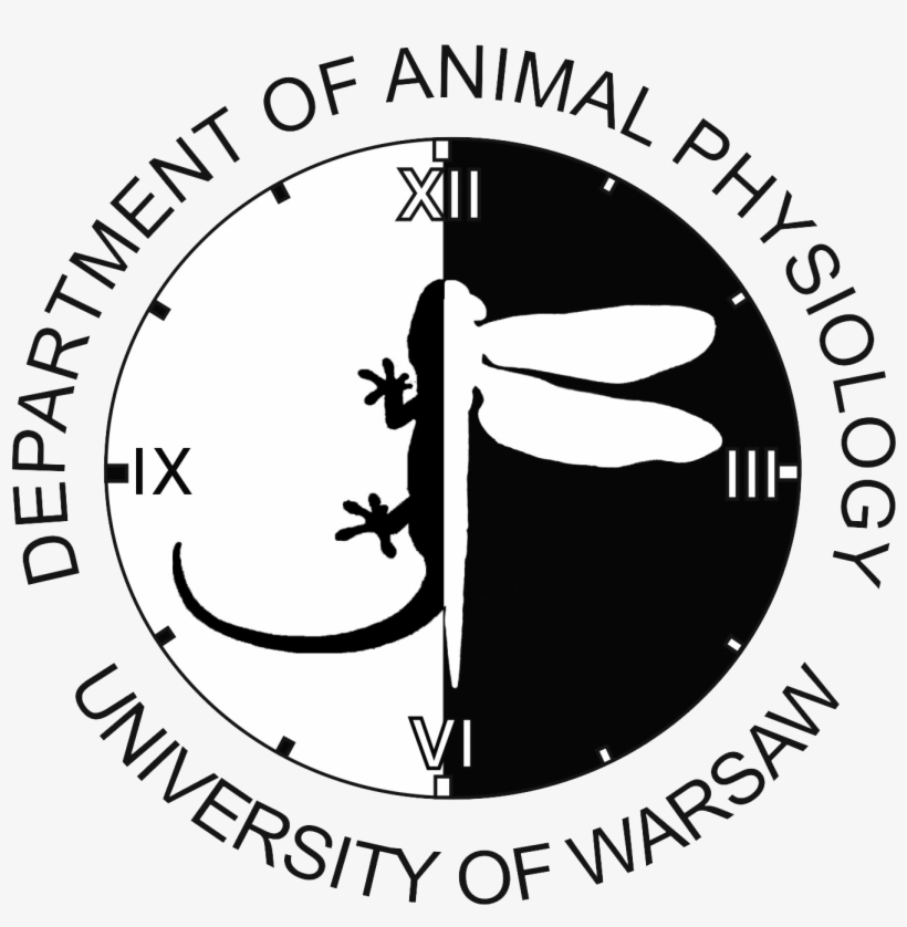 Pawel - Emblem, transparent png download