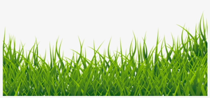 Free Png Download Grasspicture Png Images Background - Green Grass Border Png, transparent png download