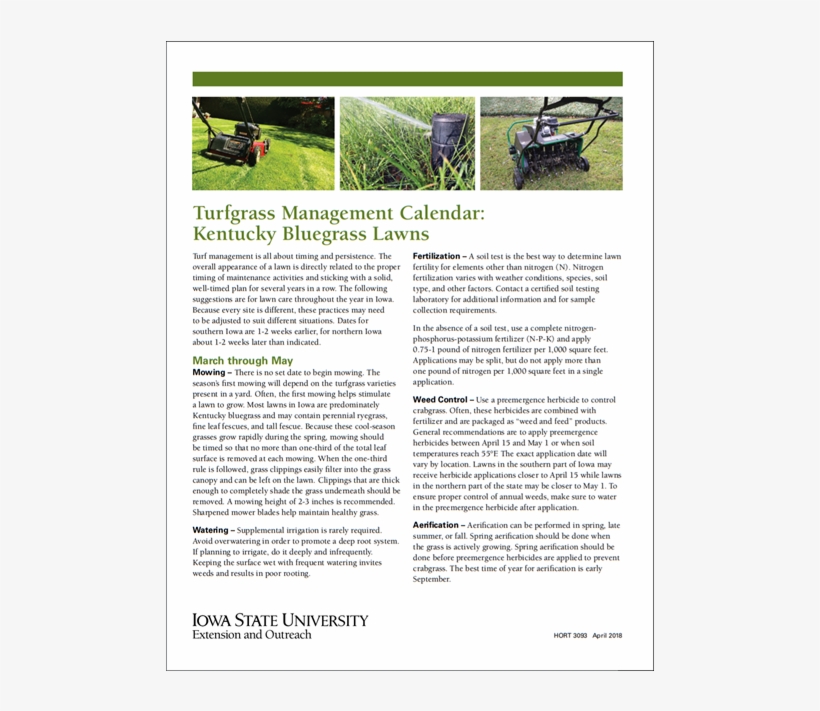 Untitled, Headpiece, Pg. 81, In The Book Dingo By Octave, transparent png download