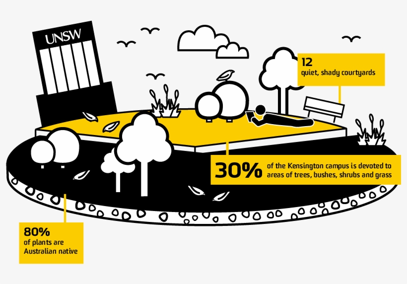 Campus Infographic - Cartoon, transparent png download