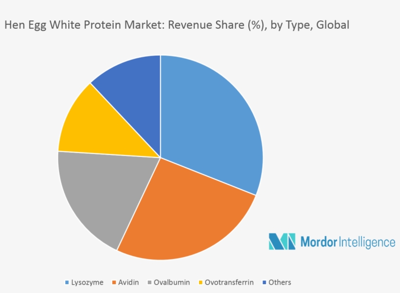 Europe Holds The Largest Share In The Global Hen Egg - Circle, transparent png download