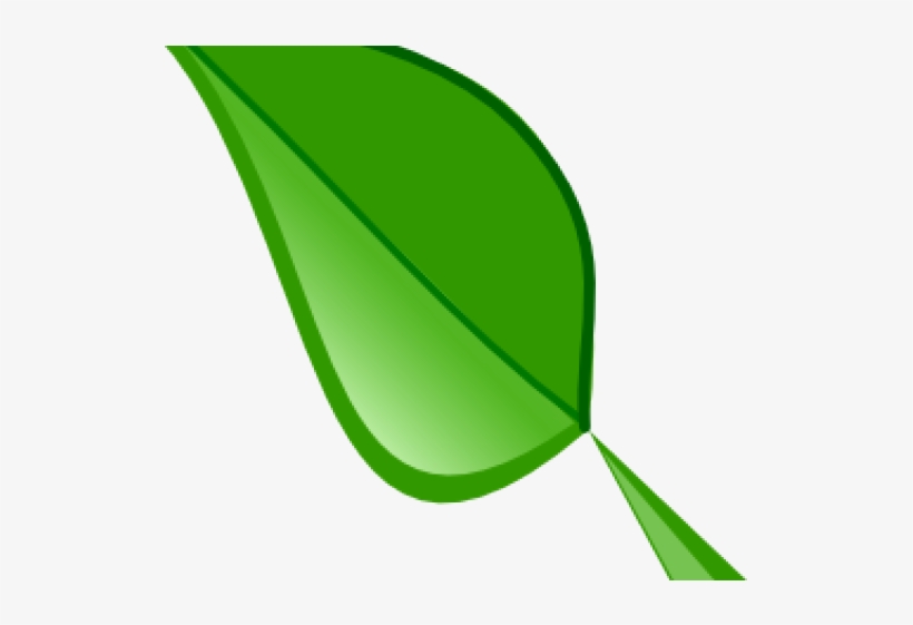 Green, transparent png download
