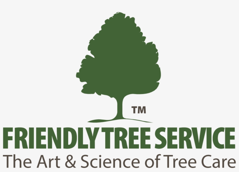 Tree, transparent png download