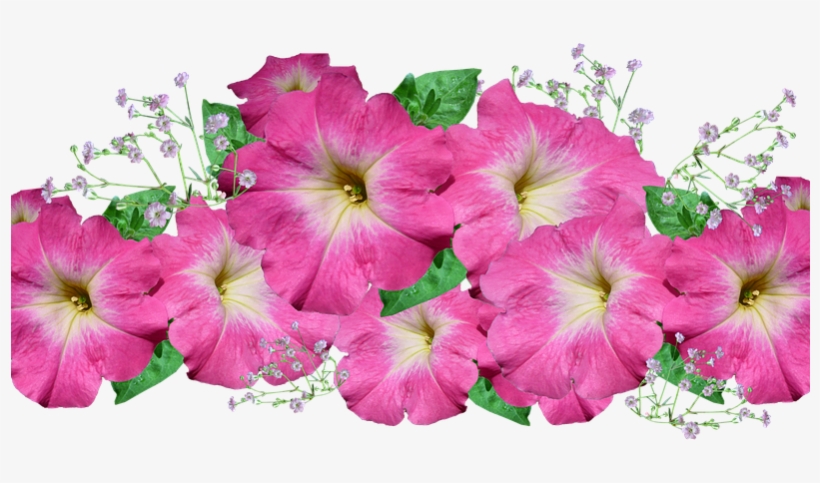 Flower Bouquet Arrangement - Petunia, transparent png download