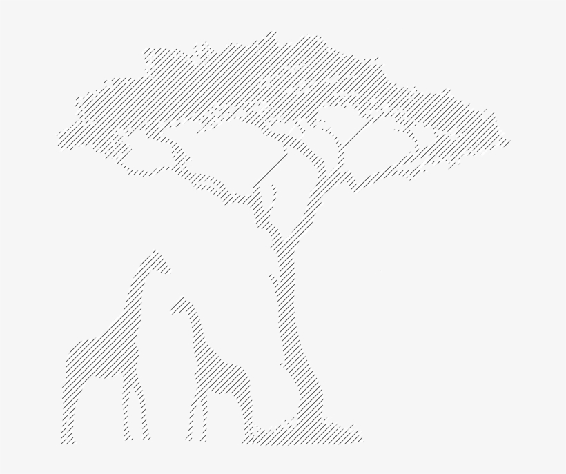 Find-bg - Dayra Camp Logo, transparent png download