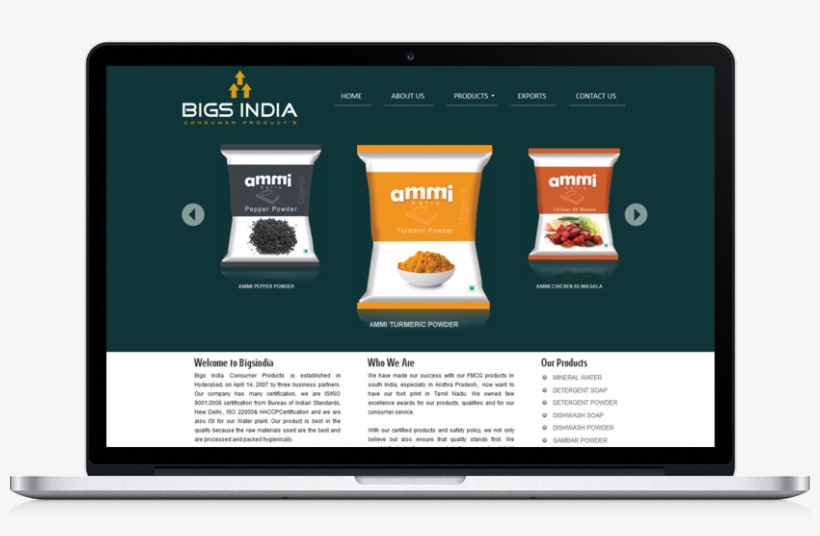 Portfolio Web Designing Gudiyatham, Website Designing - Web Page, transparent png download