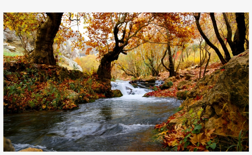 Score 50% - Stream Landscape, transparent png download