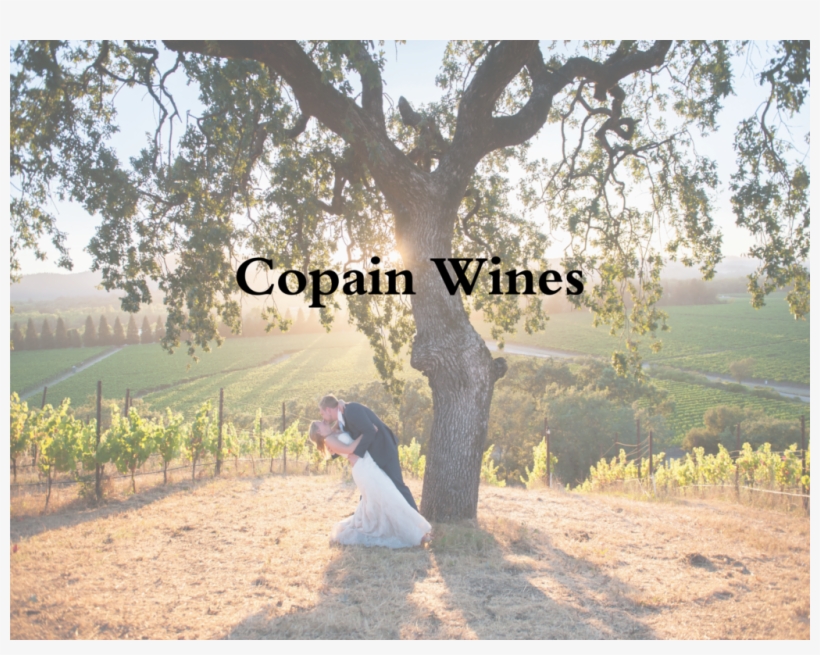 Located In Healdsburg 100 Person Capacity - Photograph, transparent png download