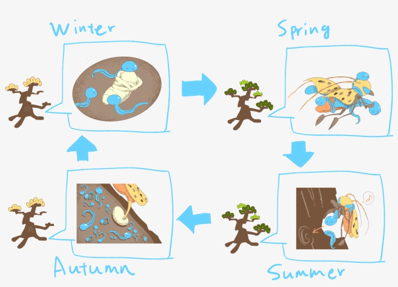Figure 3 The Life Cycle Of B - Cartoon, transparent png download