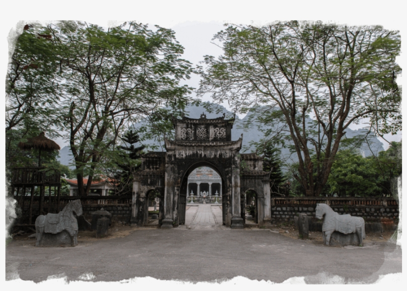 Thaivitemple - Tree, transparent png download