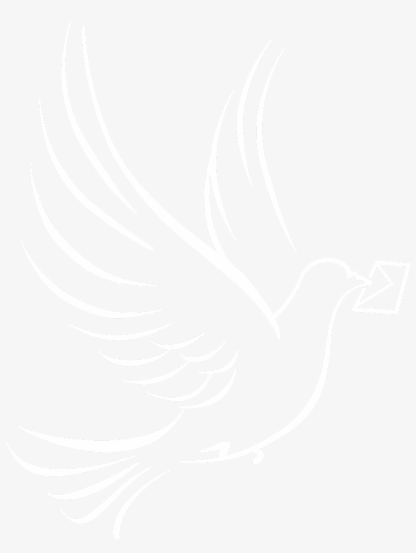 Carrier Pigeon - Illustration, transparent png download