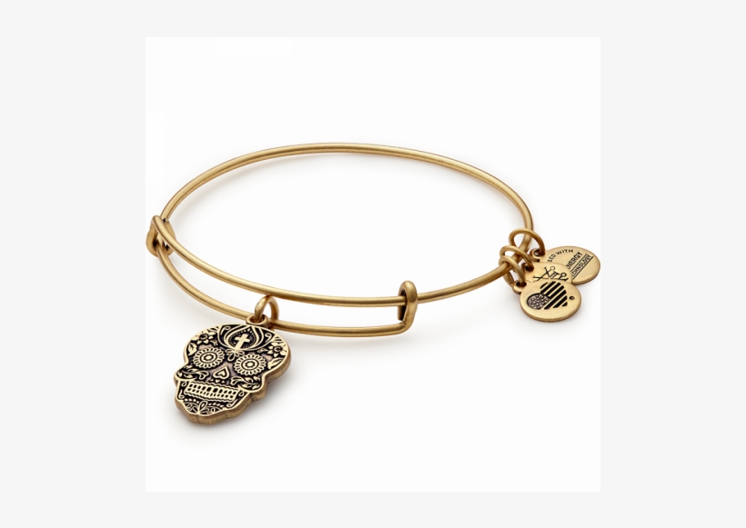 Alex And Ani Calavera Bangle In Gold - Alex And Ani Calavera Bangle, transparent png download