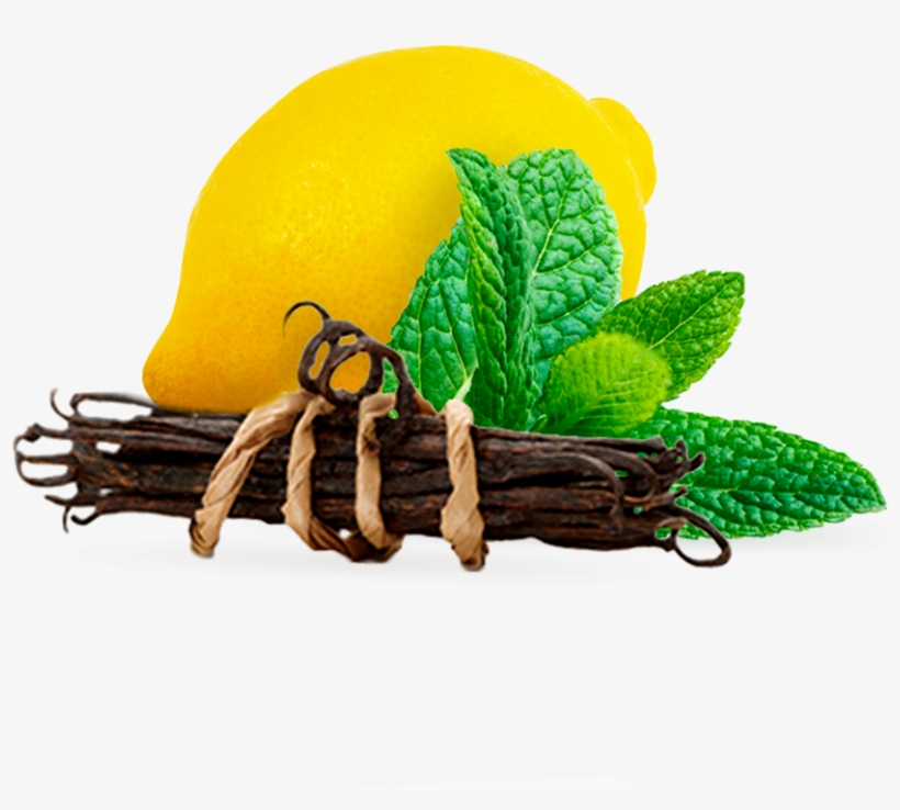 Tastes Of Butter Candy, More Creamy Vanilla And Orange - Garnish, transparent png download