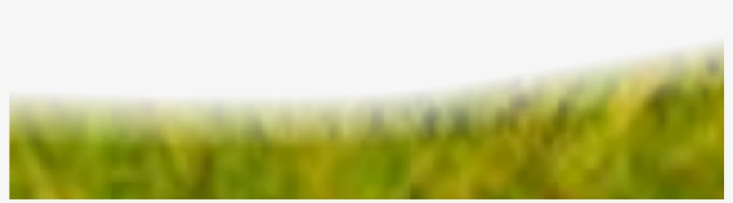How To You Use Background Image For Your Editing - Grass, transparent png download