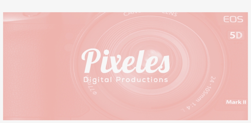 Digital Photography Background - T Shirt 2011, transparent png download